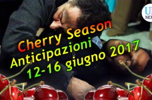 Cherry Season Anticipazioni