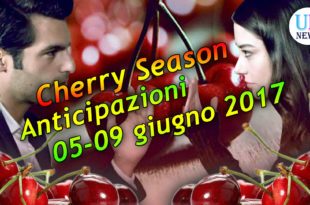 Cherry Season Anticipazioni Settimanali