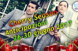 Cherry Season Anticipazioni