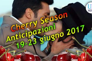 Cherry Season Anticipazioni