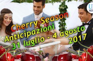 Cherry Season Anticipazioni Settimanali