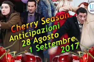 Cherry Season Anticipazioni