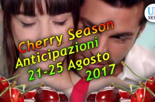 Cherry Season Anticipazioni