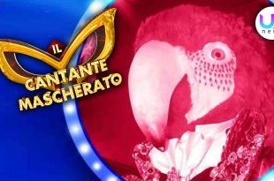 Il Cantante Mascherato, Finale