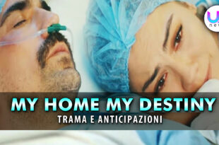 my home my destiny anticipazioni