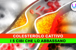 colesterolo