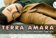 terra amara anticipazioni