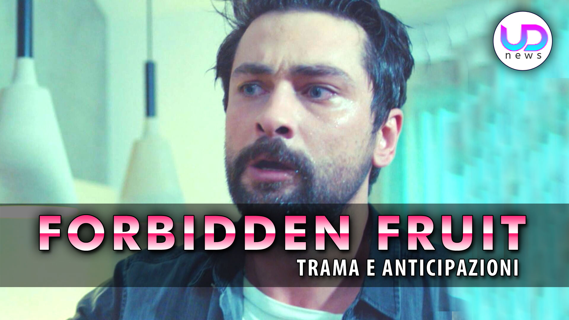 Forbidden Fruit Anticipazioni Turche: La Famiglia Di Alihan Nasconde Un Segreto! Forbidden Fruit Anticipazioni Turche: La Famiglia Di Alihan Nasconde Un Segreto!