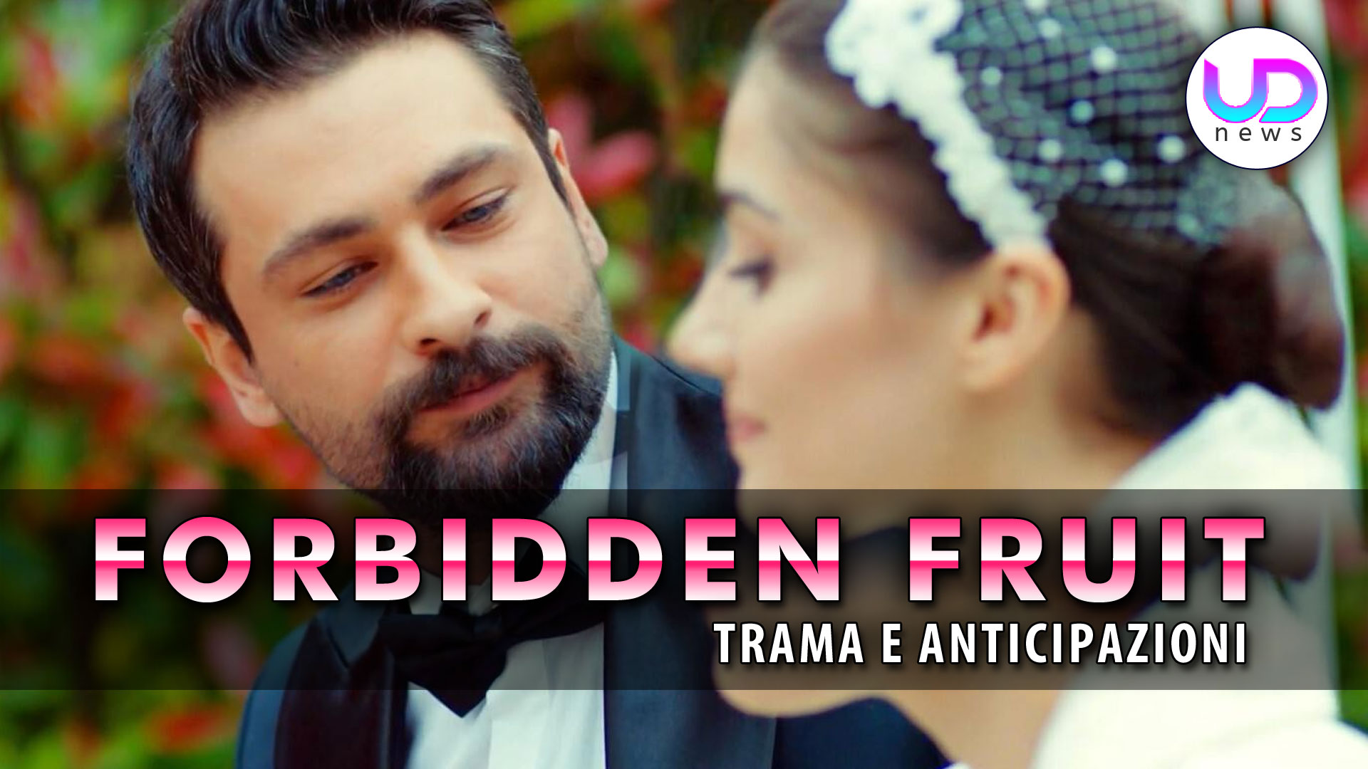 Forbidden Fruit, Anticipazioni Turche: I Due Matrimoni Di Zeynep!